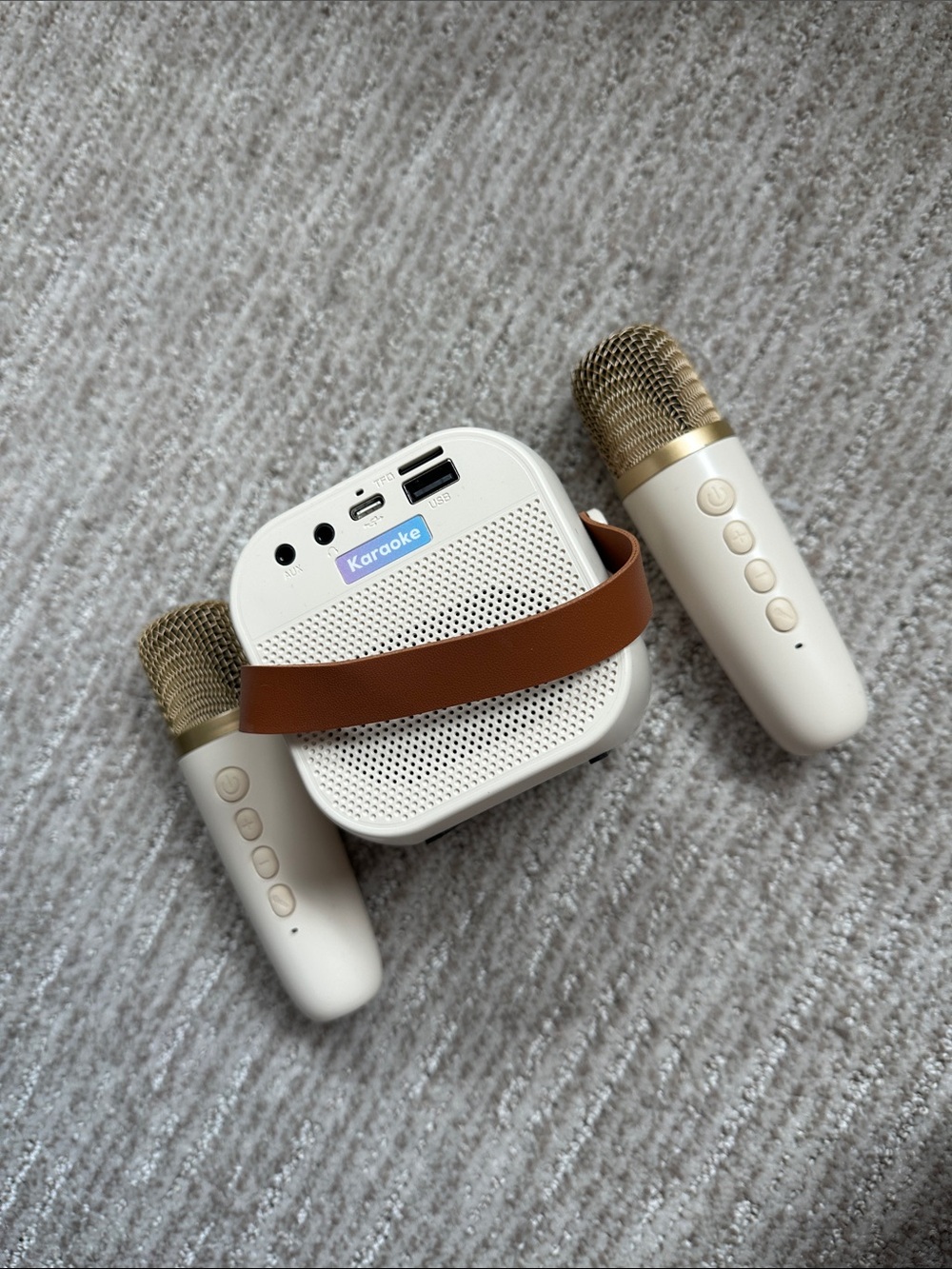 Wireless Portable Karaoke Speaker with Dual Microphones - White and Gold